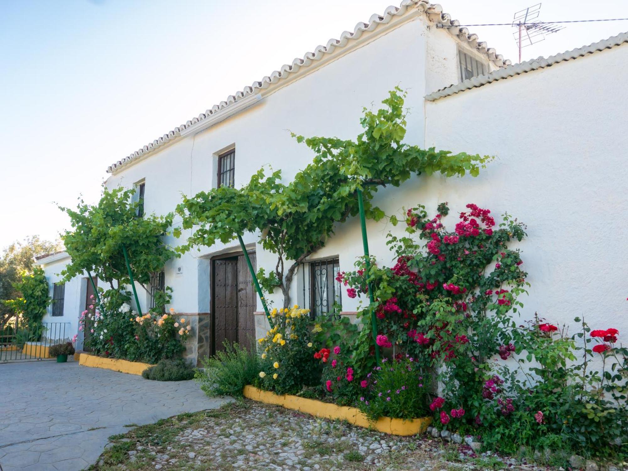 Casa Rural Huerta La Lapa Canete la Real Exterior foto